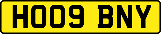 HO09BNY