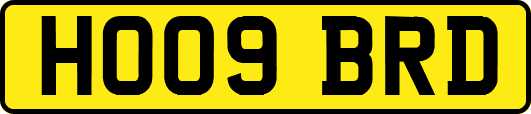 HO09BRD