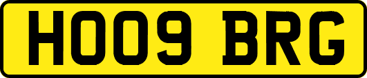 HO09BRG