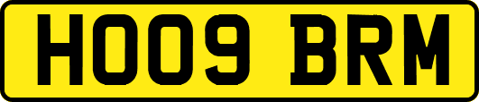 HO09BRM