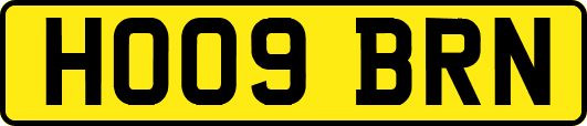 HO09BRN