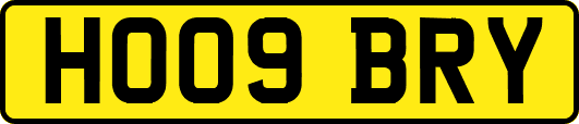 HO09BRY