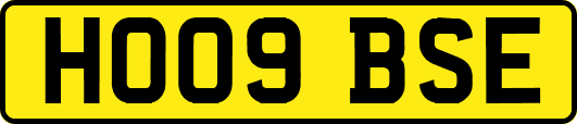 HO09BSE