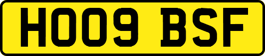 HO09BSF