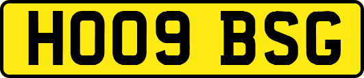 HO09BSG