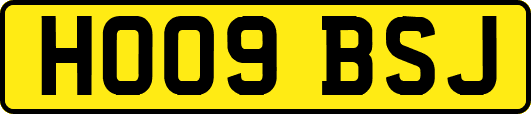 HO09BSJ