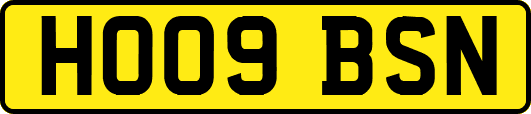 HO09BSN
