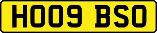 HO09BSO