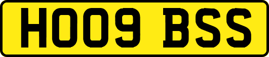 HO09BSS