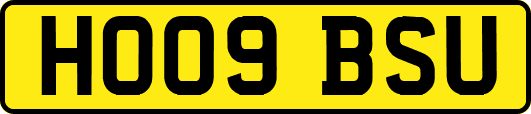 HO09BSU