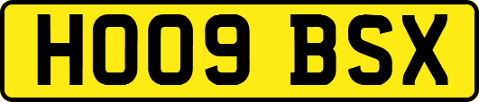 HO09BSX