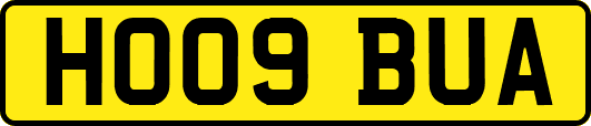 HO09BUA