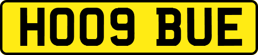HO09BUE