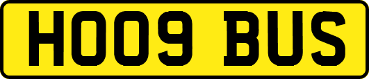 HO09BUS
