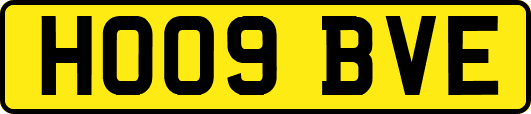 HO09BVE