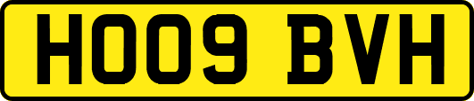 HO09BVH