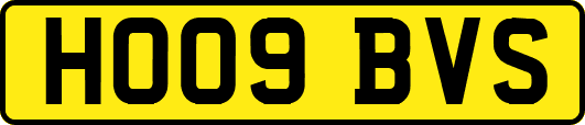 HO09BVS