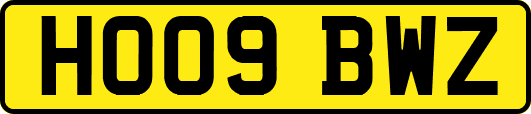HO09BWZ