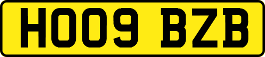 HO09BZB