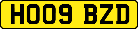HO09BZD