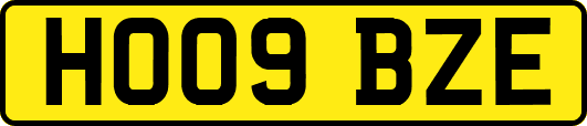 HO09BZE
