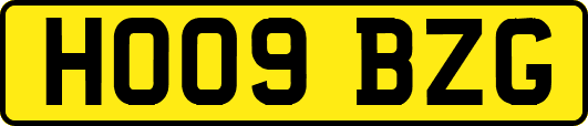 HO09BZG