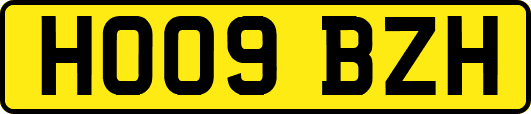 HO09BZH