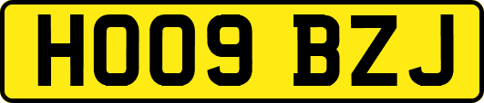 HO09BZJ