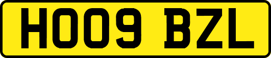 HO09BZL