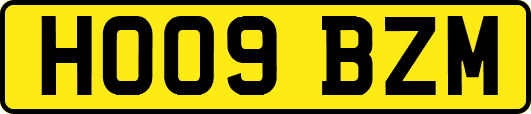 HO09BZM