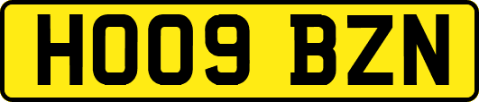 HO09BZN