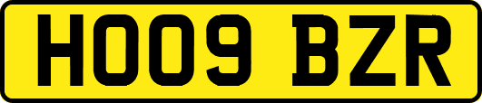 HO09BZR