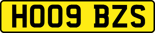 HO09BZS