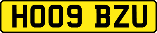 HO09BZU