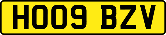 HO09BZV