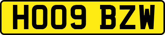 HO09BZW