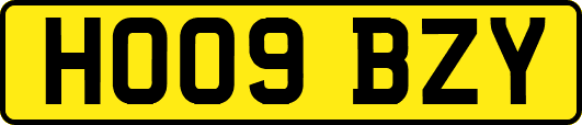 HO09BZY