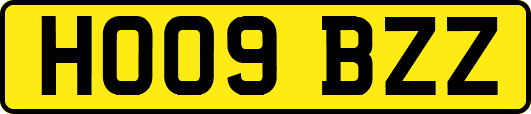 HO09BZZ