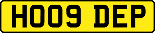 HO09DEP