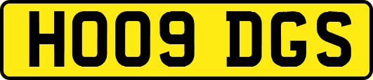HO09DGS