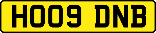 HO09DNB