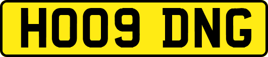 HO09DNG