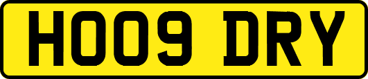 HO09DRY