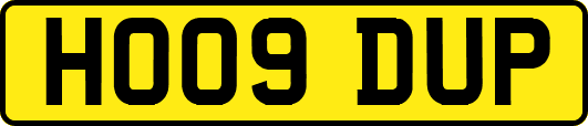 HO09DUP