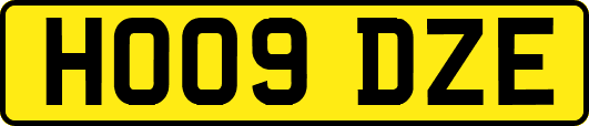 HO09DZE