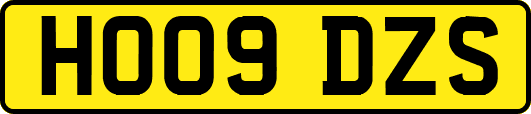 HO09DZS