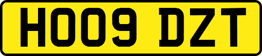 HO09DZT