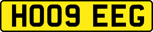 HO09EEG