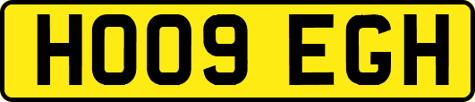 HO09EGH