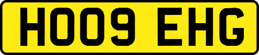 HO09EHG